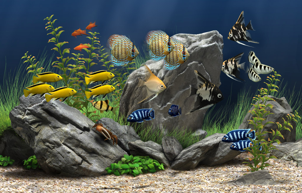 Dream Aquarium - The World's Most Amazing Virtual Aquarium for your PC or  Mac!